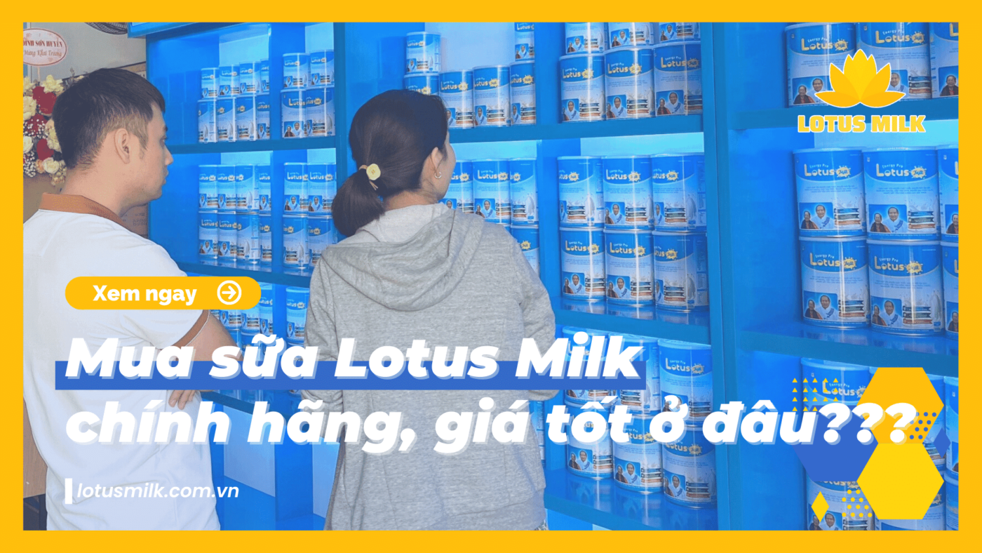 Mua sữa bột Lotus Milk chính hãng giá tốt ở đâu