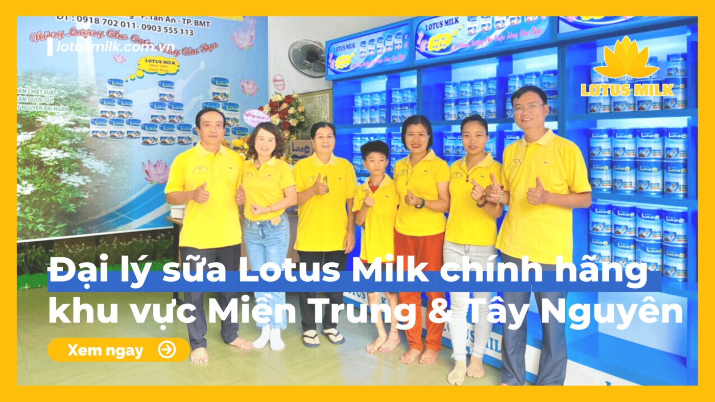 Đại lý sữa Lotus Milk chính hãng khu vực Miền Trung và Tây Nguyên