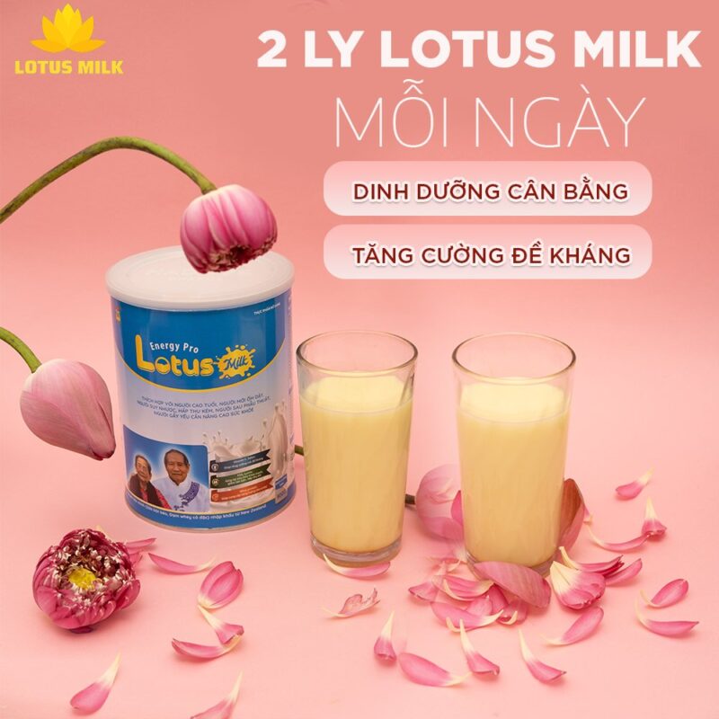 2 Ly Lotus Milk mỗi ngày cân bằng dinh dưỡng