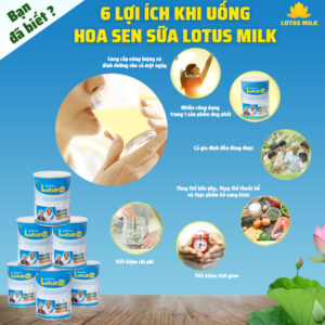 6 lợi ích khi sử dụng hoa sen sữa Lotus Milk