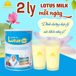 2 ly lotus milk mỗi ngày dinh dưỡng hợp lý sức khỏe như ý
