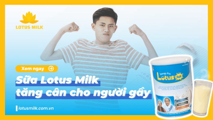 Sữa Lotus Milk tăng cân cho người gầy