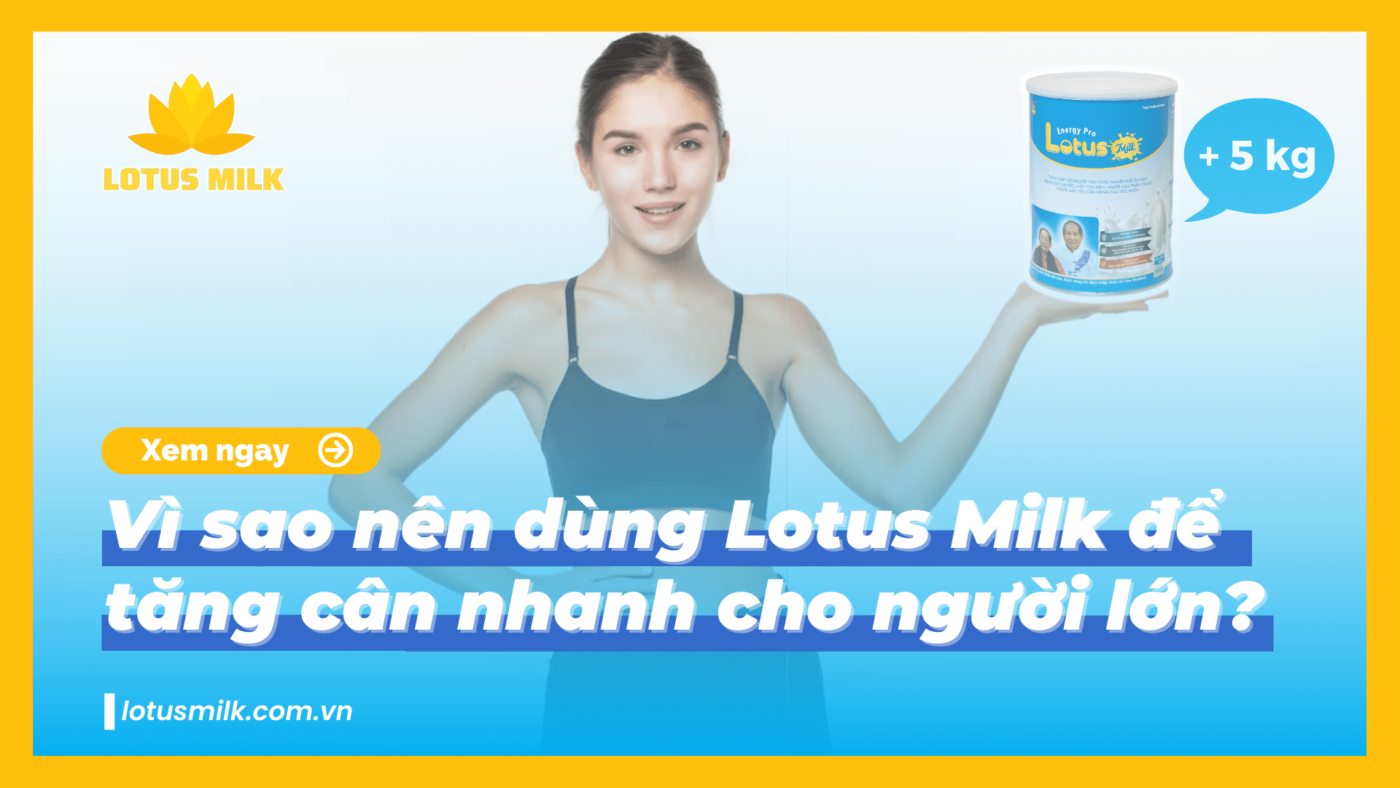 Vì sao nên dùng Lotus Milk để tăng cân nhanh cho người lớn
